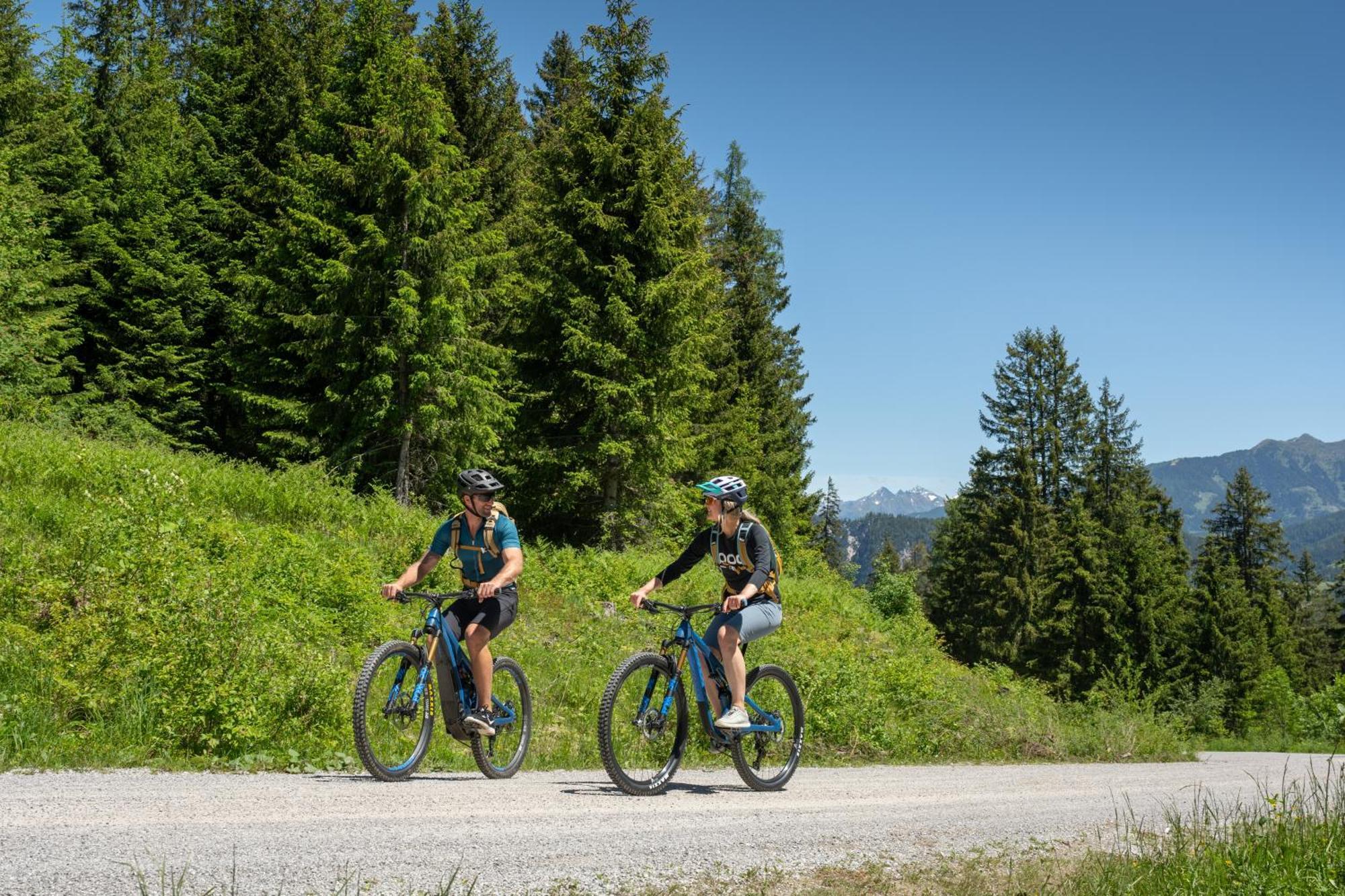 Natur & Familienhotel Der Stieglerhof Radstadt Ngoại thất bức ảnh